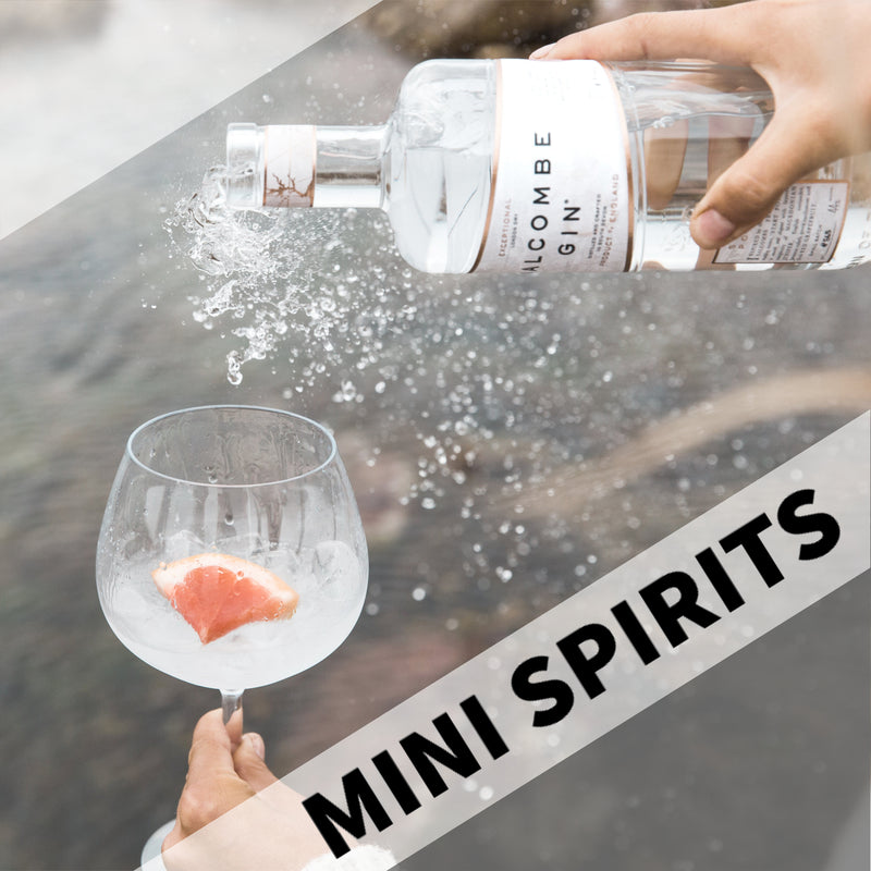 Salcombe Gin ‘Start Point’-サルコムジン「スタートポイント」-【MINI SPIRITS】